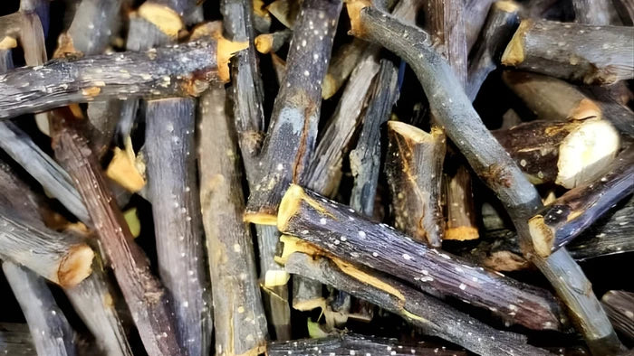 Madera de matatabi